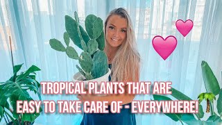 Tropical plants that are easy to take care of - everywhere! 🌴