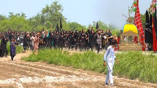 Women Matam Shia Culture - Leaked Original - Auraton Ka Matam (Part-2) Matam in 2023
