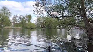 Brandenburg an der Havel