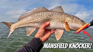 Wade Fishing for Redfish using TOPWATER Lures!