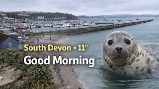 11° Coastal Morning Walk + Unexpected Seal Encounter | LifeWithThePlatts
