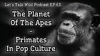 Planet Of The Apes - Primates In Pop Culture - Let's Talk Wild Podcast EP 63 - Kong, Bubbles, + More