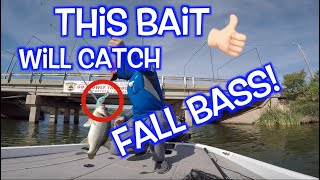 One of the BEST Fall Fishing Patterns