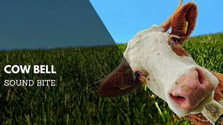 Cow's Bell Sound Effect | Animal Audio Clips & Sound Bites | Clean Audio Clips