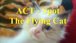 ACT - Spot The Flying Cat.wmv