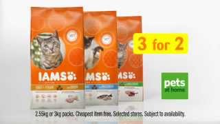 IAMS Cat Value 30" PAT tag 10 9 14