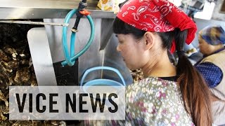 The Worst Internship Ever: Japan’s Labor Pains