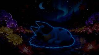 NO ADS | Sleep Instantly 🌙 | Gentle Music for Deep Relaxation & Peace
