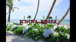 K'nova- Roses