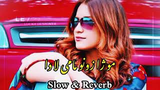 pashto new songs Slowed+Reverb pashto songs pashto new tappy
