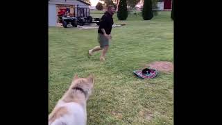 Bouncy balls