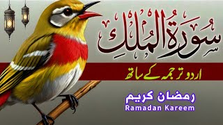 Surah Al Mulk With Urdu Translation | Beautiful Quran Tilawat Voice | Hindi Tarjuma | Ramadan 2026