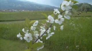 Barclay James Harvest - Titles - (Trough The Eyes Of John Lees)