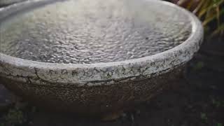Relaxing Rain Sounds 6 Hour