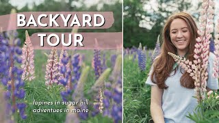 BACKYARD TOUR! | Visiting the Lupine Fields in NH & Kennebunkport, ME!