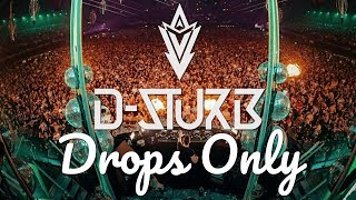 [DROPS ONLY] D-Sturb @ Qlimax 2019