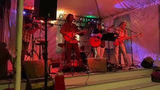 Swamp Donkey Newgrass 1