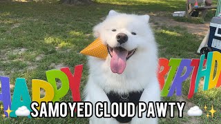 A Samoyed Cloud Birthday PAWty ✨