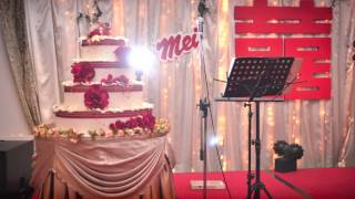 S t e V e & M e i ~ Reception