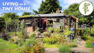 Couple's AMAZING Off-Grid Homestead & SUPER SMALL Tiny House Built from Scratch – FULL TOUR