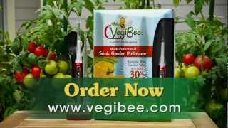 VegiBee - Garden Pollinator