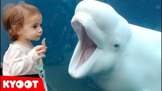Girl SPOOKED By A Beluga Whale 🐳 Funny Kids at the Aquarium