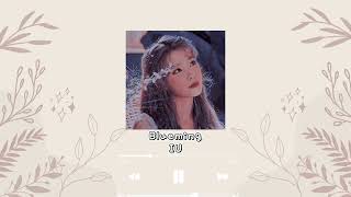 (Mostly) Calm K-pop playlist