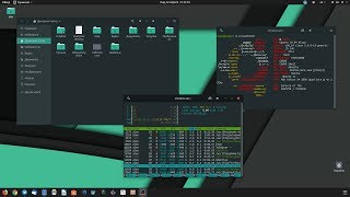 Как сделать Ubuntu 19.04 Disco Dingo красивее и удобнее?