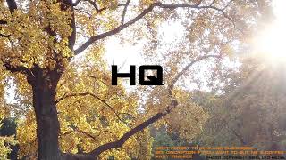Paul Young - Wonderland (HQ)
