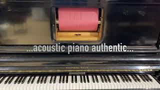 1923 Steinway-Welte piano