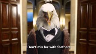 Freedom Video1 7 11 V4