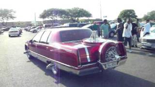 Candy Fleetwood on 6 giraffe neccs