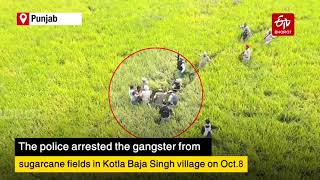 Drone video of Punjab police nabbing gangster Bablu