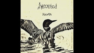 Absorbed - North (Music Video)