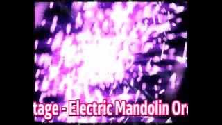 LOW LOW LOW VOLTAGE   Electric Mandolin Orchestra