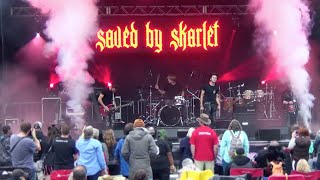 Saved By Skarlet at River Rock Music Festival (short clip)
