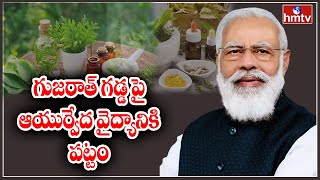 India to Introduce AYUSH Mark for Traditional Medicine | PM Modi | hmtv