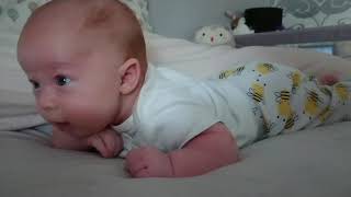 Arlo - 7.5weeks old