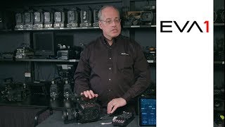 EVA-LIVE | Panasonic