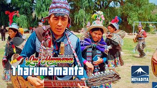 HERMANOS THARUMAMANTA - GABRIEL T'IKITA [CARNAVAL] NEVADITA PRODUCCIONES✔