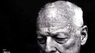 BLACK CAT BACKING TRACK D. GILMOUR .