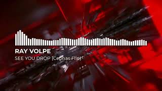 RAY VOLPE - SEE YOU DROP (Cephas Flip)