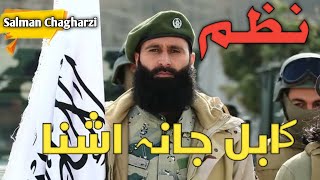 Pashto Nazam Naat kabul jan ta zu #nazam nazm tarana Tarany nazmona Tutor TV