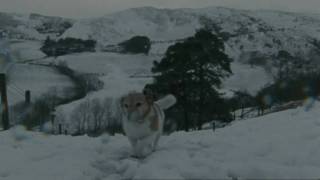 Sleep Furiously: Snow (DVD Quality)