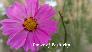 Power of Positivity 💙💞