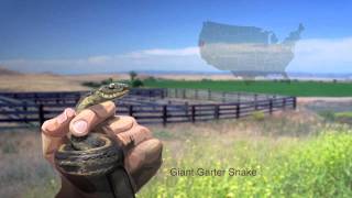 Wildlands 2011 Holiday Video
