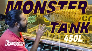 Arowana Fish Tank Setup | 450 Liter Aquarium with Top Filtration System