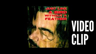 Just Like A Bird Without A Feather (R. L. Burnside) - Video Clip