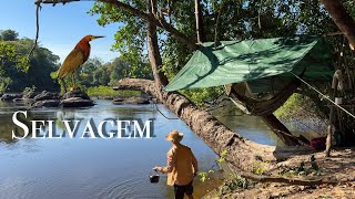 AVENTURA SELVAGEM com PESCARIA e ACAMPAMENTO em meio a FLORESTA AMAZÔNIA teve peixe ASSADO Na brasa