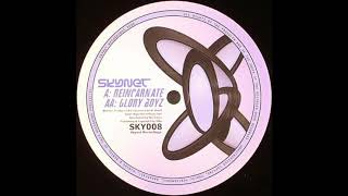 Skynet - Reincarnate